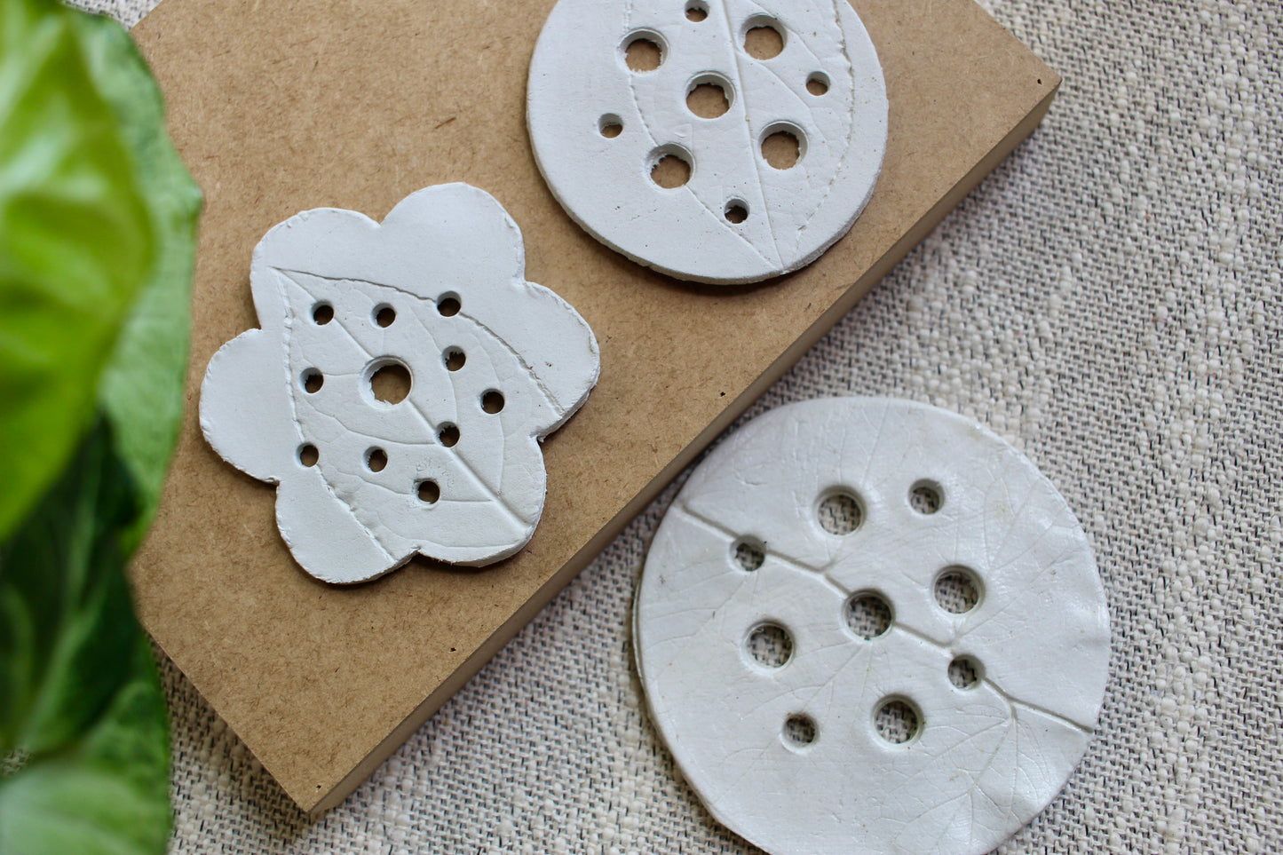 Flower/ Propagation Frog