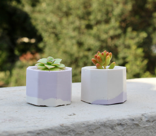 Jesmonite Tiny Plant Pots
