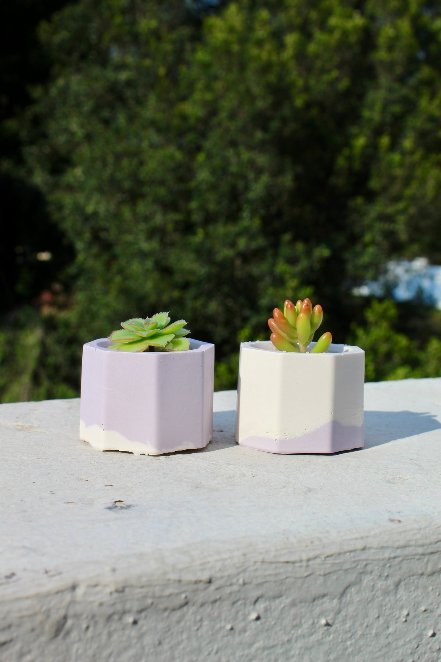 Jesmonite Tiny Plant Pots