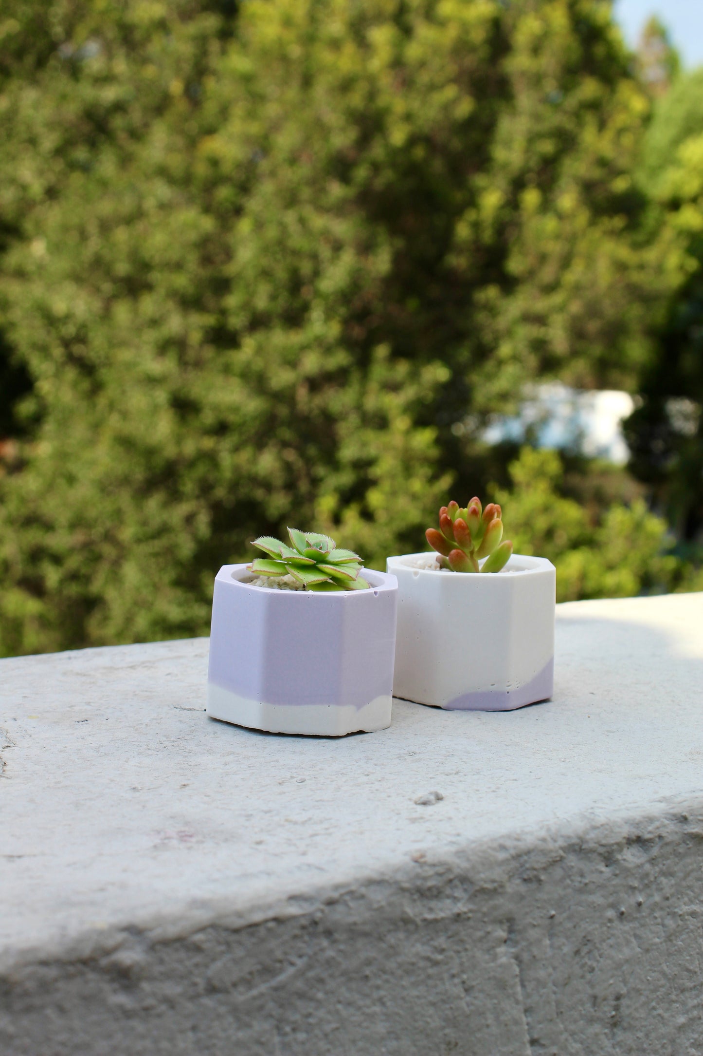 Jesmonite Tiny Plant Pots