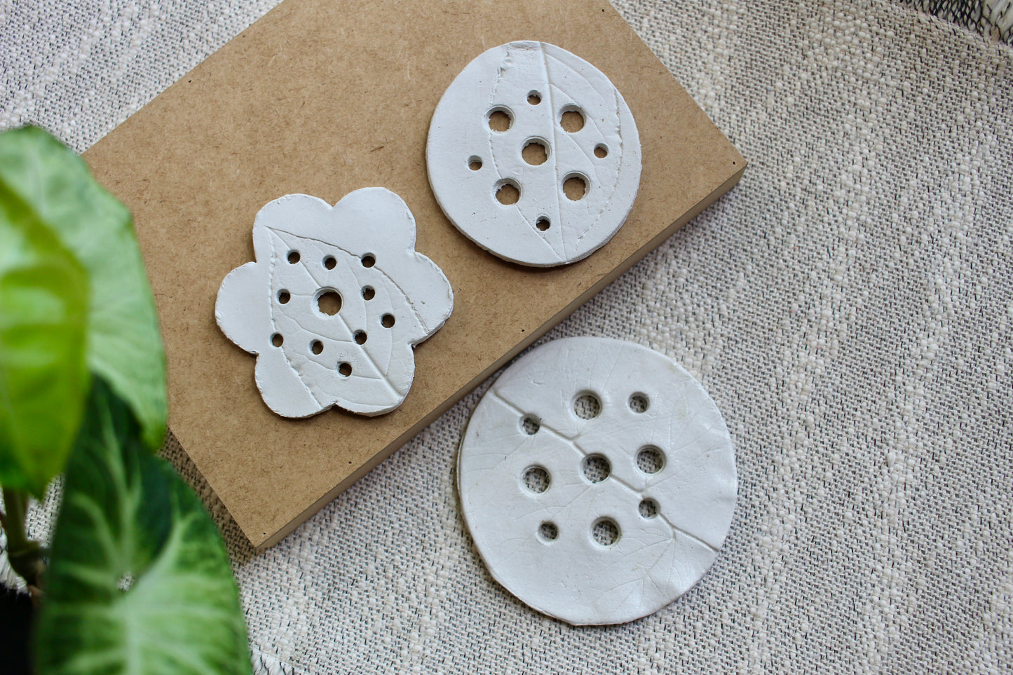 Flower/ Propagation Frog