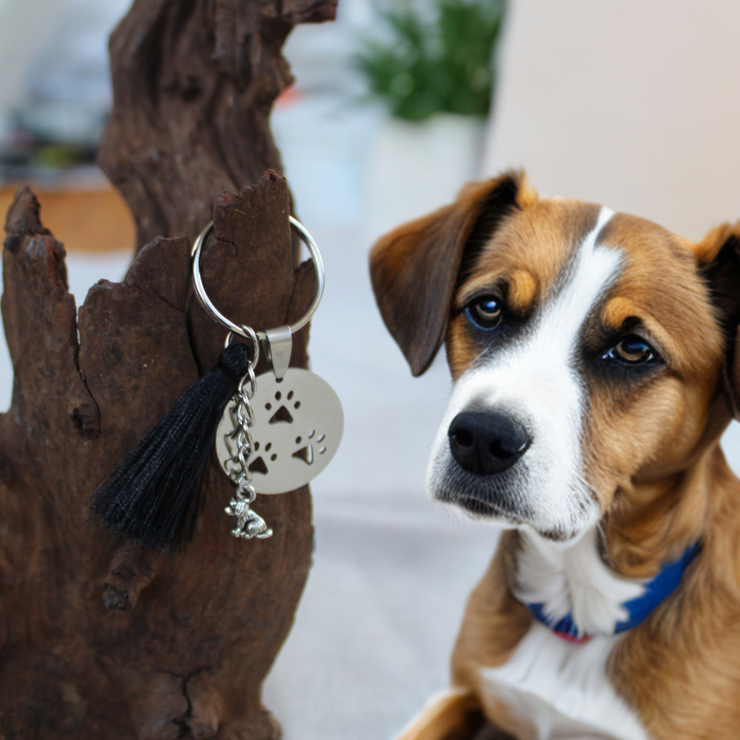 Paw Print Keyring