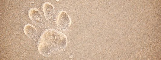 Paw Print Collection - Giving back to those in need