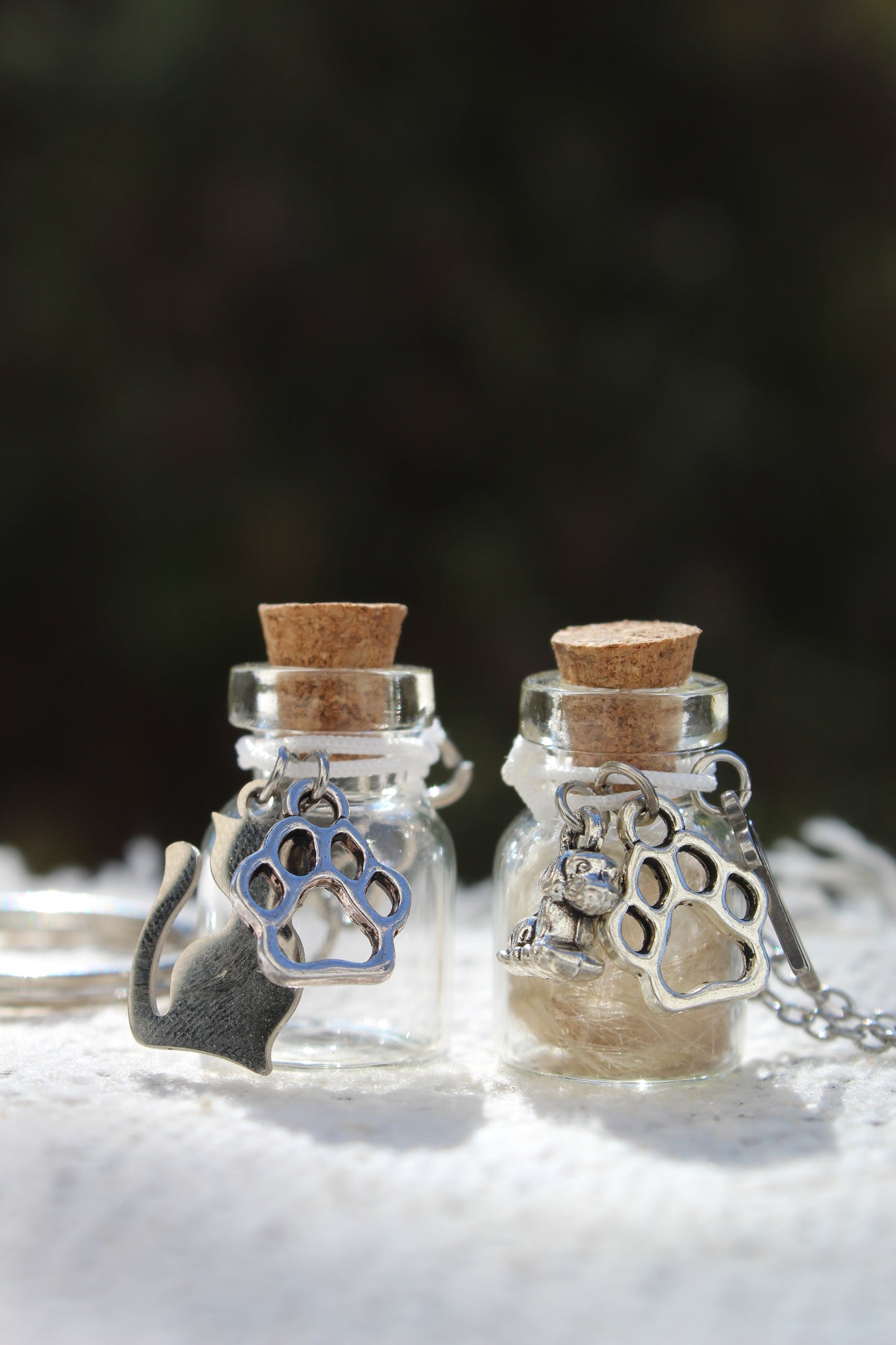 Pet Keepsake Memory Jars