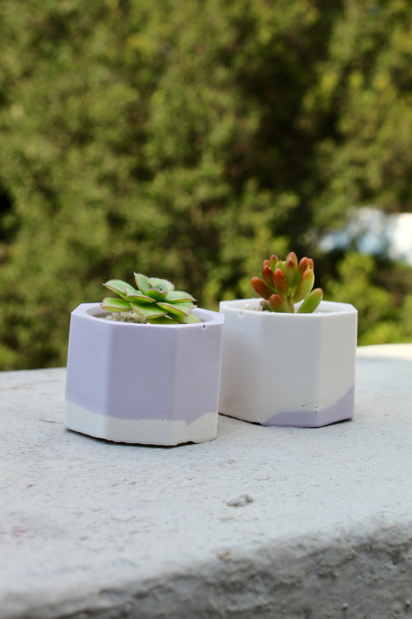 Jesmonite Tiny Plant Pots